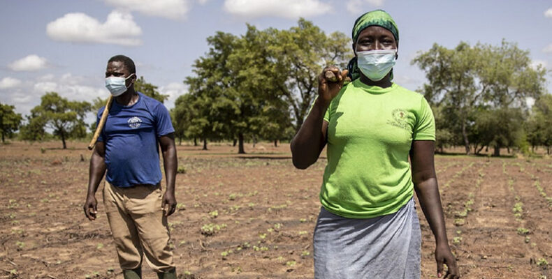FAO welcomes $10 million contribution from U.S. to fight COVID-19