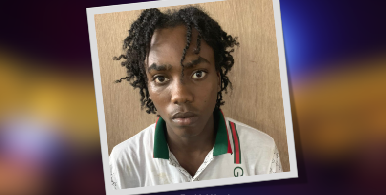 Prime Suspect in Albouystown murder probe nabbed in Suriname and sent back to Guyana