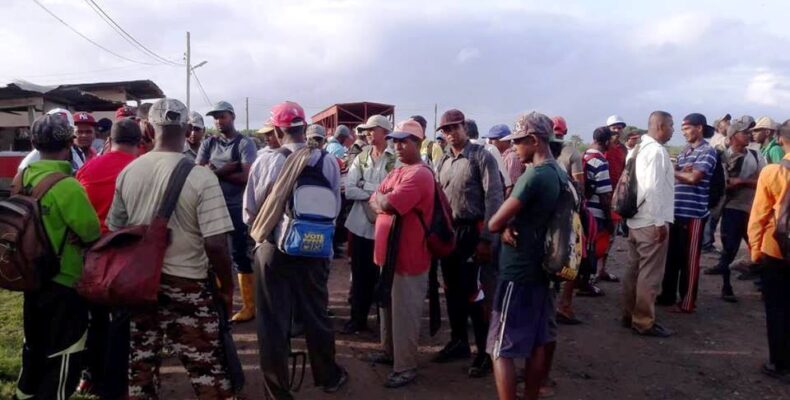 Despite numerous challenges, GAWU says workers’ lives improved in 2020