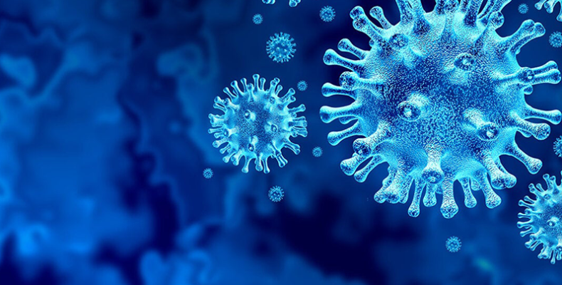 Spike in COVID-19 cases during Holiday season