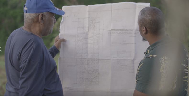 2022 seen as year for hemp production in Guyana