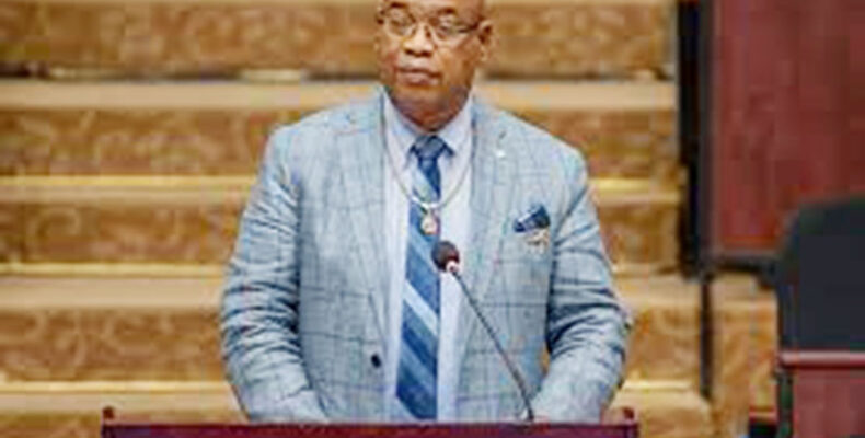 Guyanese ‘hustle’ could now become executive businesses