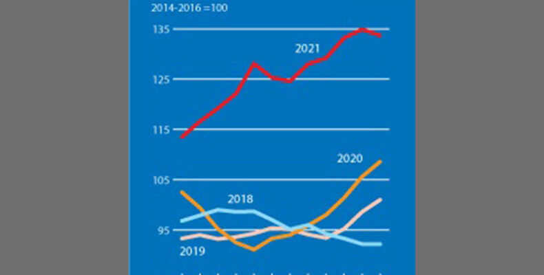 Global food prices rose by over 28 per cent