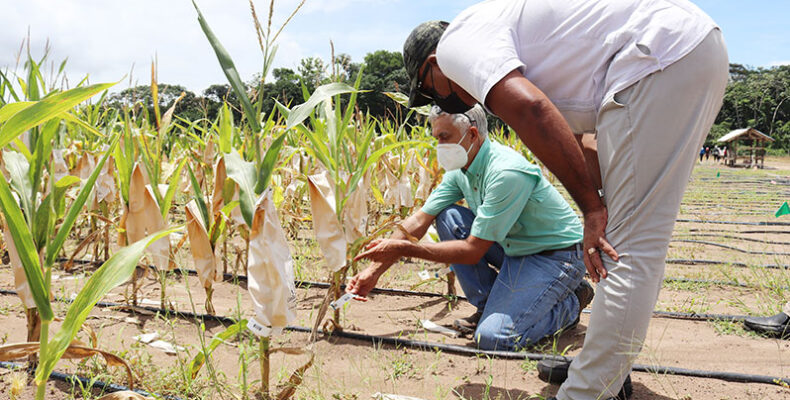 De-risking agriculture sector from climate change