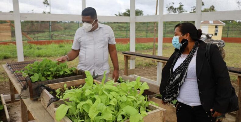 New Entrepreneurship programme seeks to get more youths involved in Agriculture