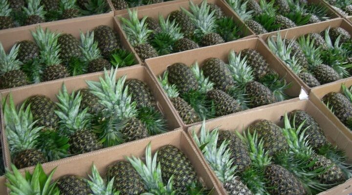 Agri. officials in aggressive push to regain lost regional markets