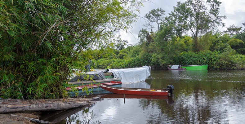 The villages along the Canje Creek, East Berbice, are perfect for a quiet life