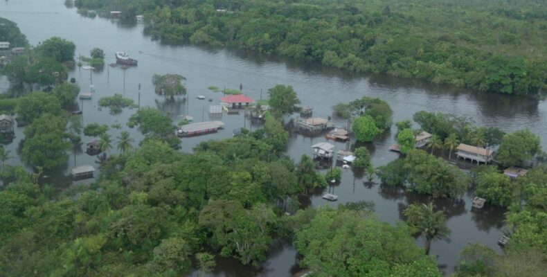 Devastated by floods, 200 small scale farmers get $8.9M FAO support