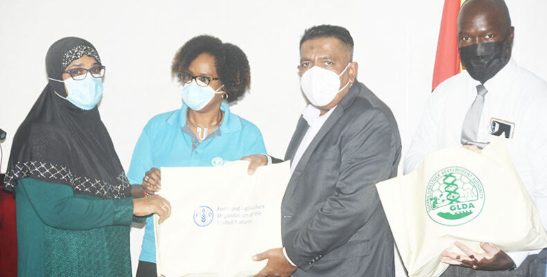 FAO pumps millions of dollars into flood-relief initiative