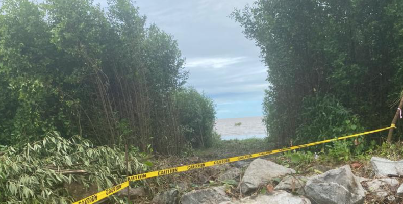 NAREI monitoring removal of mangroves for Fibre Optic cable link; Restoration to take place on completion of project
