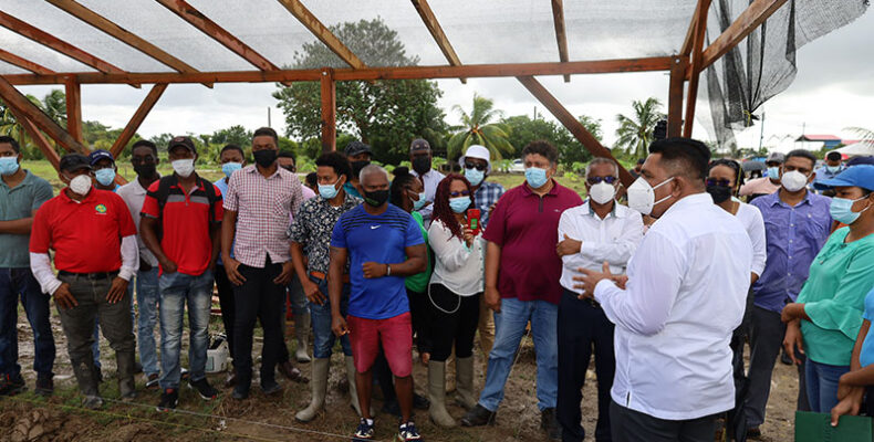 Construction commences on five model shade houses