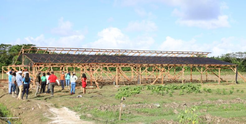 Construction underway for model shade houses as part of President’s youth agri. initiative