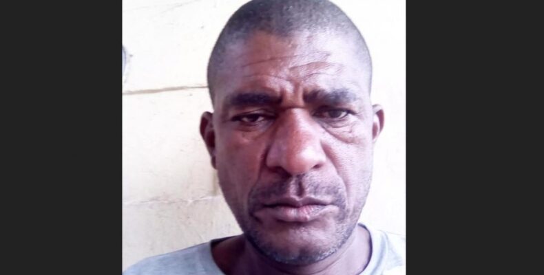 Horse cart operator found not guilty of rape