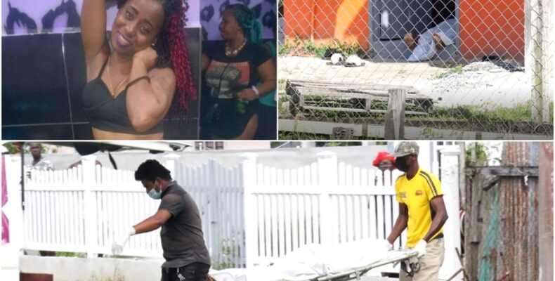 UPDATE: Sophia stabbing was witnessed by 9-Y-O; murdered woman was pregnant
