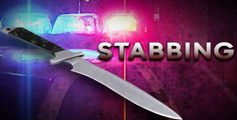 Teen stabbed reportedly by stepfather dies at COVID-19 hospital