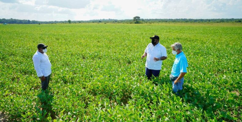 Budget 2022: Pres. Ali touts investment in agriculture as foundation for long-term productivity