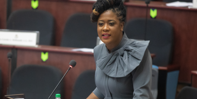 Budget 2022 is disrespectful and discriminatory to Guyana’s poor and working class -MP Walton-Desir