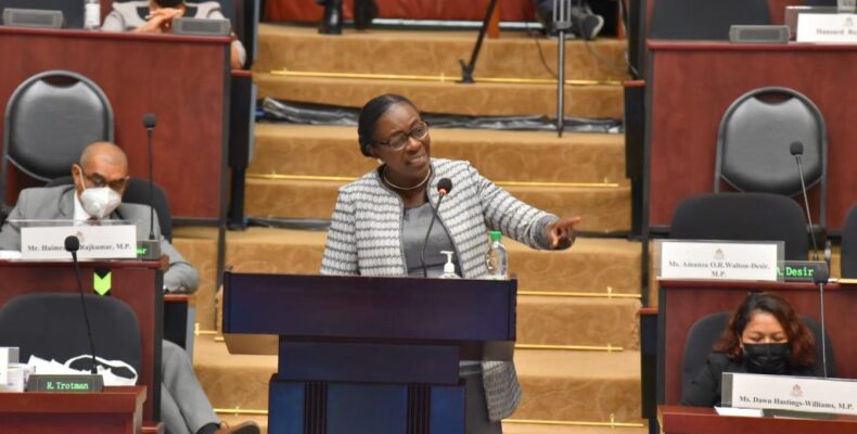 Nicolette thanks Granger, Harmon as she bids farewell to Parliament