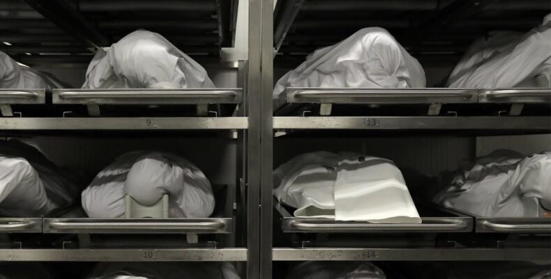 COVID: 5 more die, 276 new cases, 12 in ICU