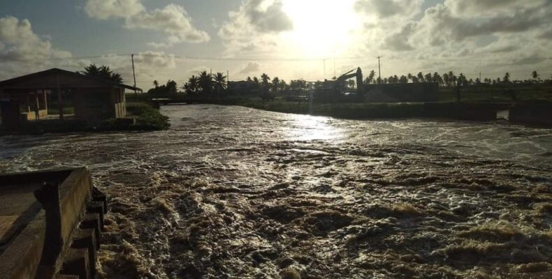 70 acres of rice lands, 25 families affected by collapsed koker in Essequibo