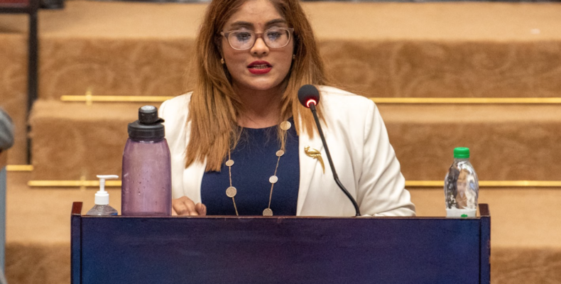 Opposition MP calls out Government over abuse of Cyber Crime Act