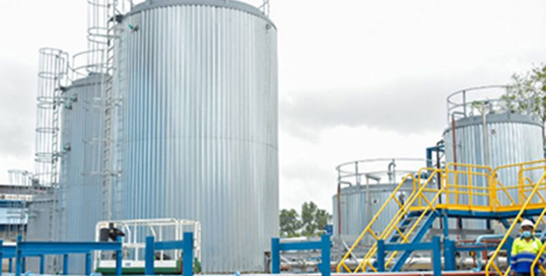 GPL’s Garden of Eden Plant almost back to full operation