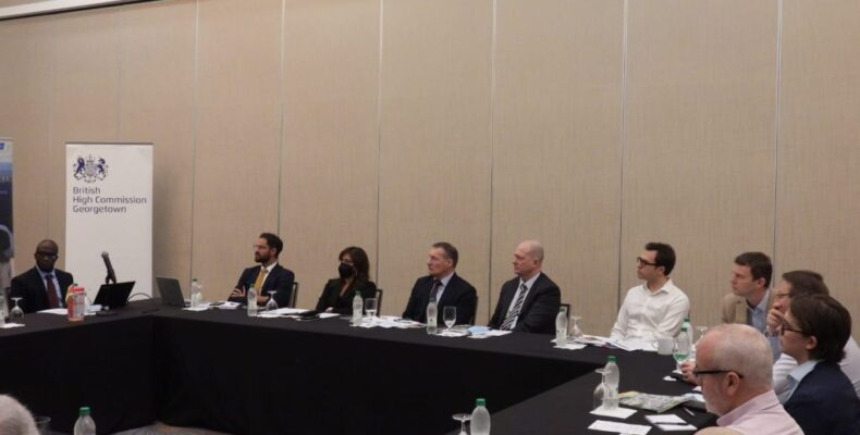 Nine-member British delegation scoping out investment opportunities in Guyana