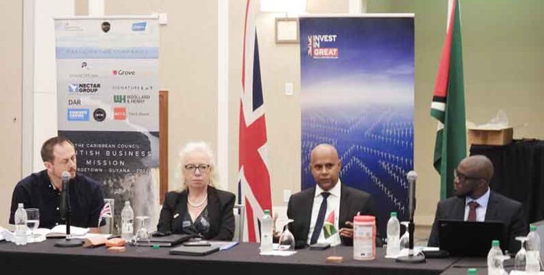 Exploring business opportunities