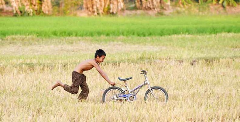 Global food prices rise in January