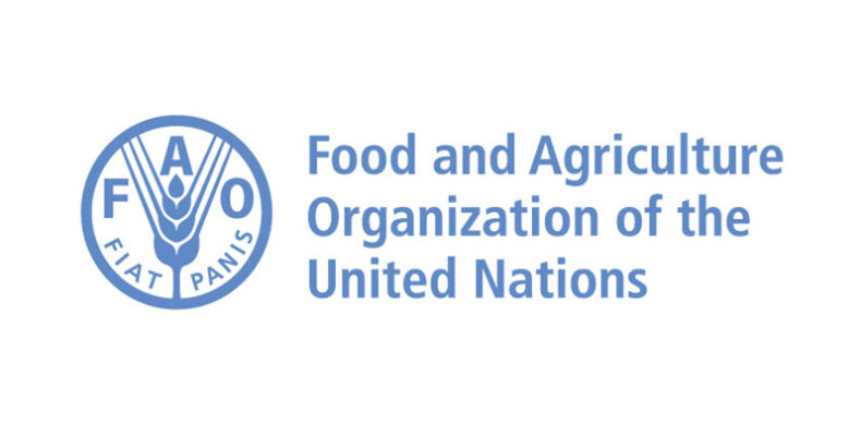 Youth can transform agrifood system