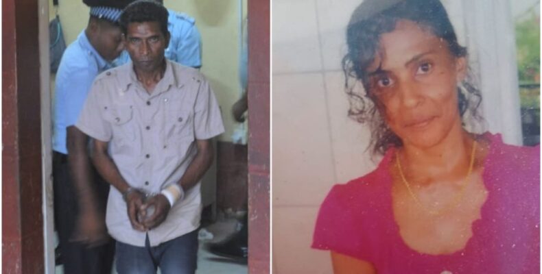 Anna Regina man admits to stabbing wife to death