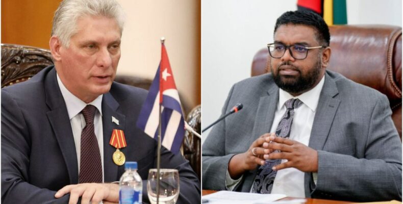 Presidents Ali and Díaz-Canel commit to strengthening bilateral ties