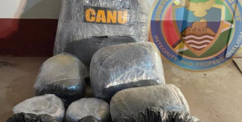 CANU agents come under fire during marijuana bust in Corentyne
