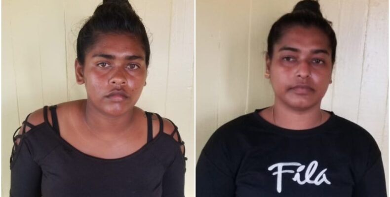 $25,000 bail for women who assaulted, chopped Port Mourant woman