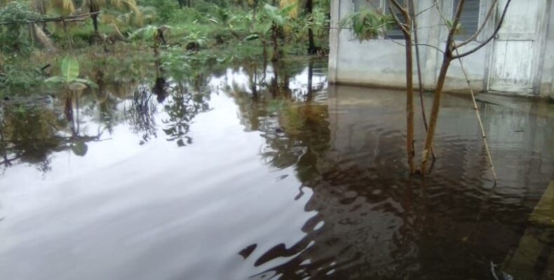 National Taskforce on Flooding says monitoring, responding to rainy season
