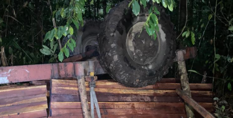 Porter dies as trailer with wallaba posts topples