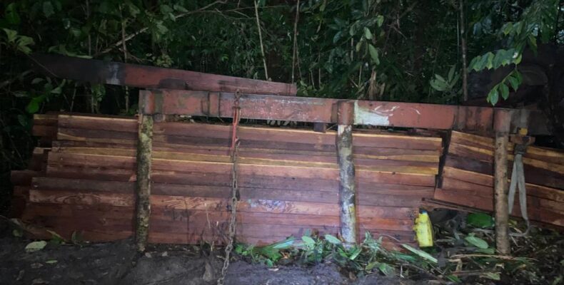 Porter dies after wood laden truck topples