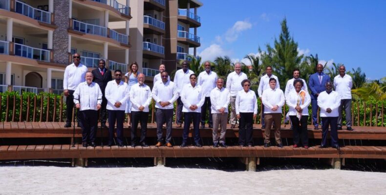Guyana ready to collaborate with Central American countries on food security – President Ali