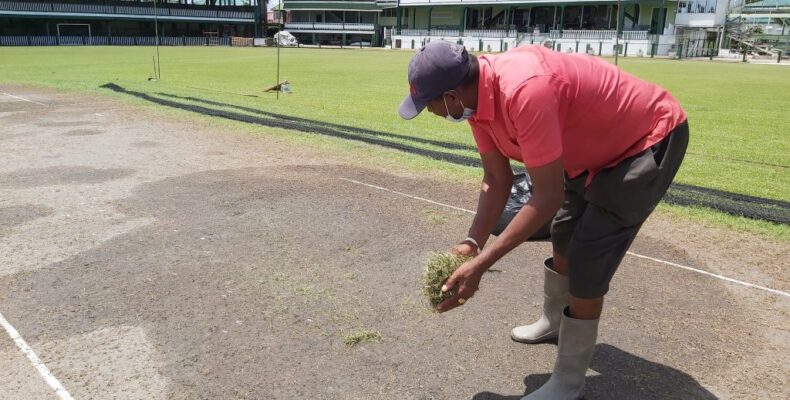 Big Man Cricket resumes today at Bourda