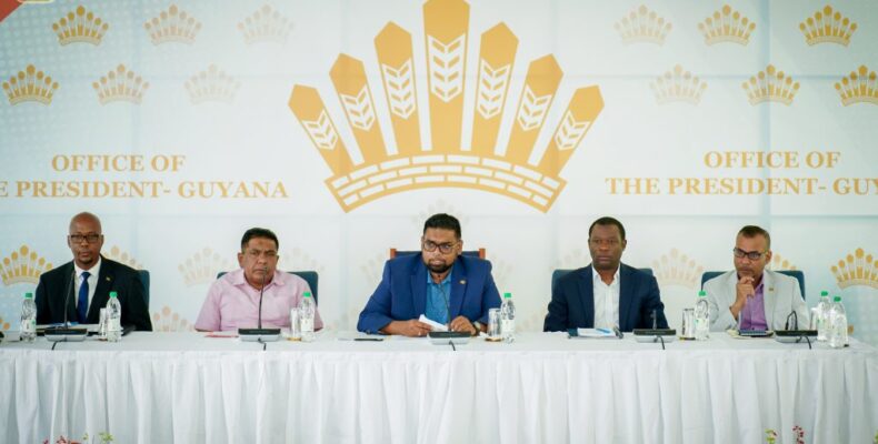 Pres. Ali touts creation of more jobs at Enmore & Albion