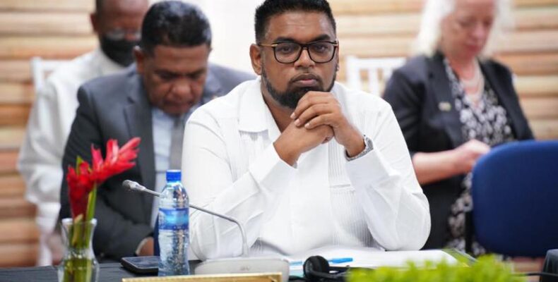Gov’t will absorb increase in water & electricity rates – Pres. Ali