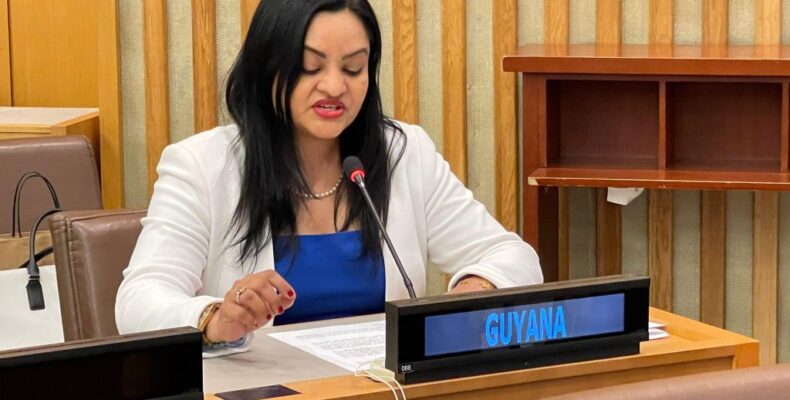 LCDS promotes inclusion of women and vulnerable groups – Dr Persaud tells UN