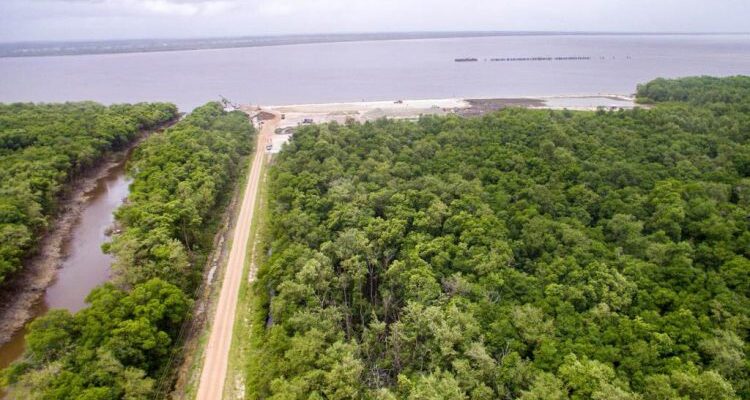 20 acres of mangroves cleared for Berbice deep water port