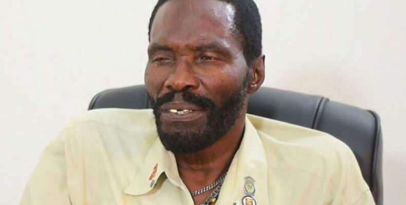 No increase in minibus fares expected – union President