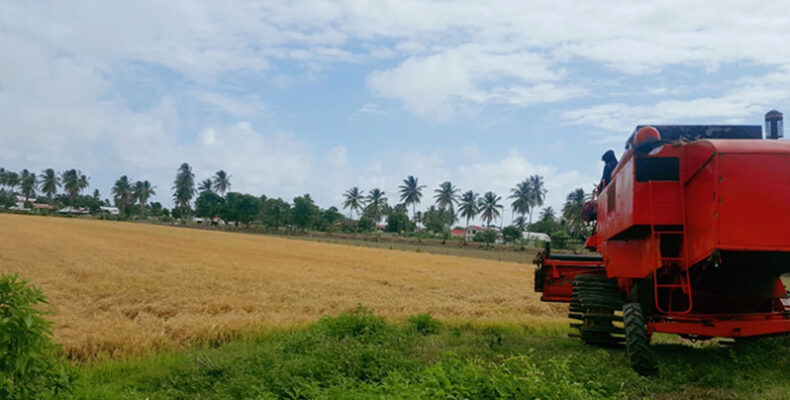 15,000 acres of land ‘opens up’ for Region Two farmers