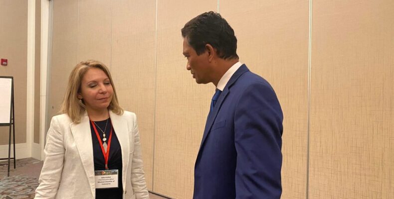 ‘Time to forge alliances’- PSC Chairman says as Texas Chamber eyes local partnerships