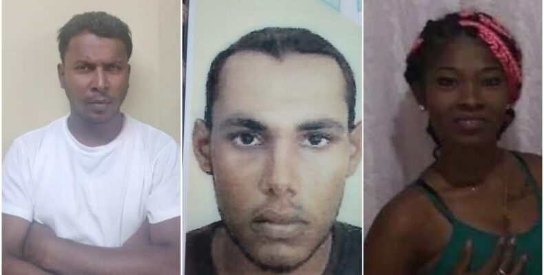 Driver in deadly hit-and-run accident remanded to prison