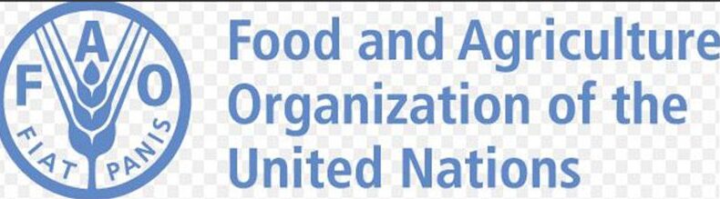 Guyana to host FAO’s regional conference in 2024