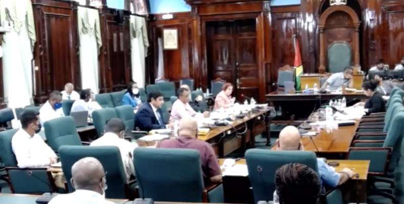 Opposition accuses Government of attempting to stymie work of PAC with proposed amendments