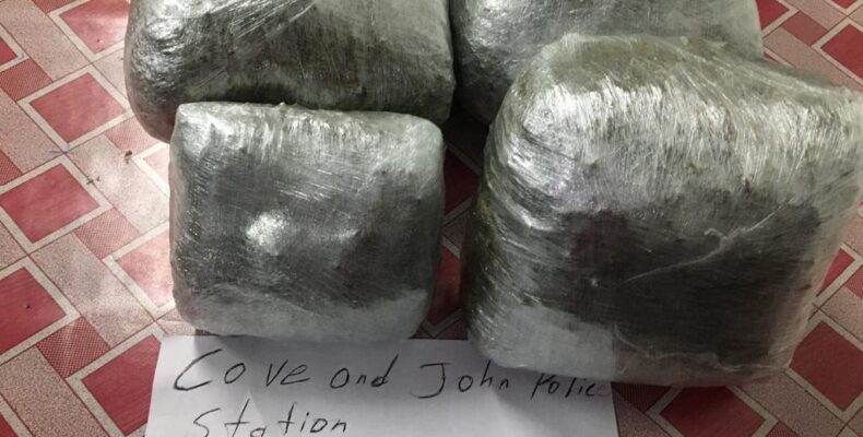Two busted with 13.2lbs ganja in car, home